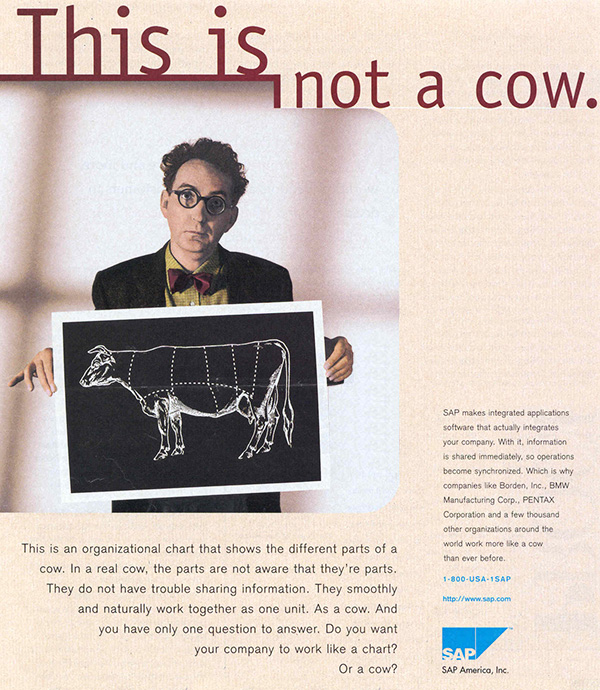 SAP 1995广告