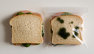 anti_theft_lunch_bag